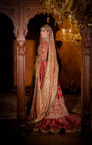Tena Durrani latest bridal | TD-lat-771